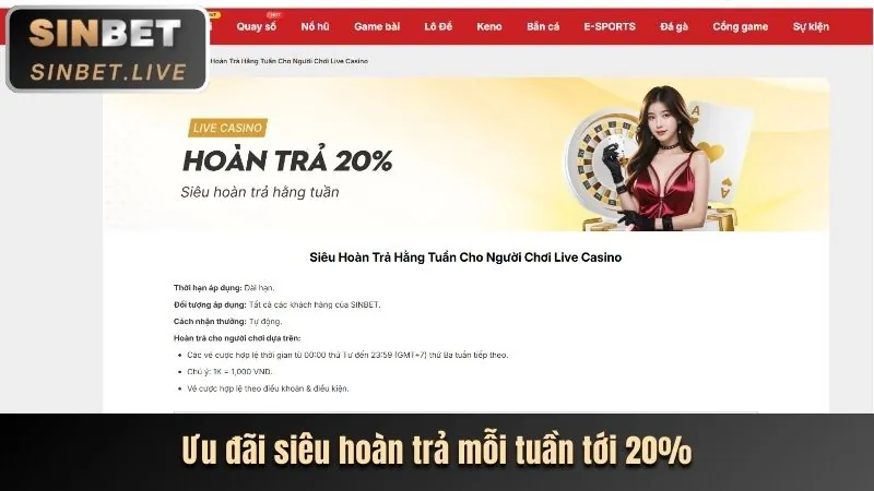 Không đặt cược theo cảm tính